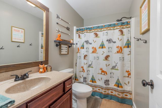 207 Coleman Dr, White Bluff, TN 37187