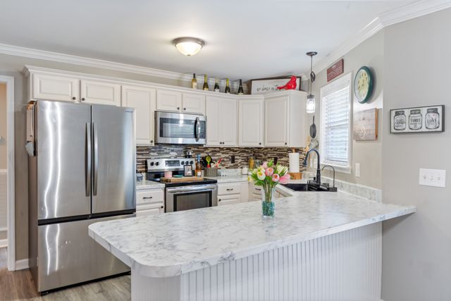207 Coleman Dr, White Bluff, TN 37187