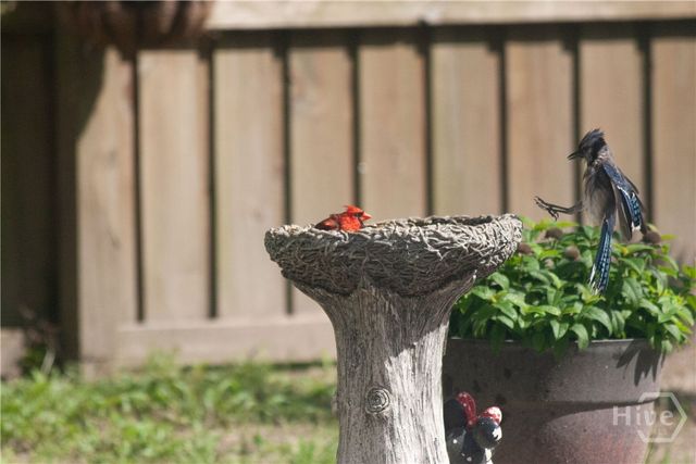 1801 Stillwood Drive, Savannah, GA 31419