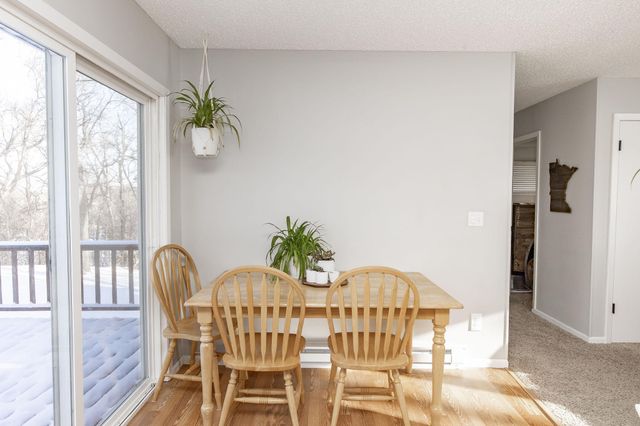 41888 Bur Oak Hills Loop, Pelican Rapids, MN 56572