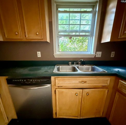 113 Maple Shade Lane, Lexington, SC 29073