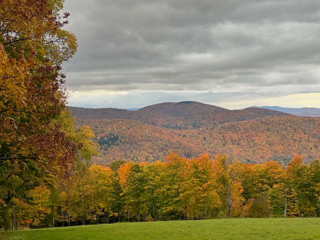 882 Mitchell Road, Shrewsbury, VT 05738