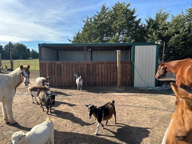 660 County Road 2184, Gainesville, TX 76240