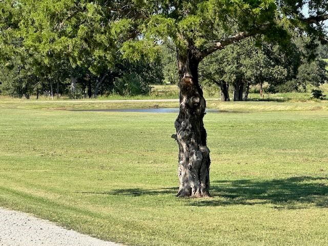 660 County Road 2184, Gainesville, TX 76240