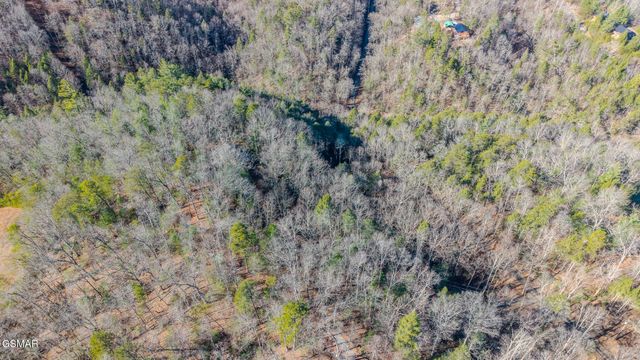 Lot 22R Shady Grove, Sevierville, TN 37876