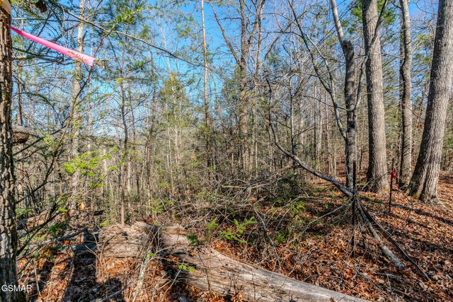 Lot 22R Shady Grove, Sevierville, TN 37876