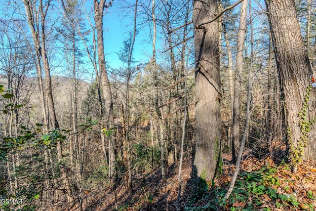 Lot 22R Shady Grove, Sevierville, TN 37876