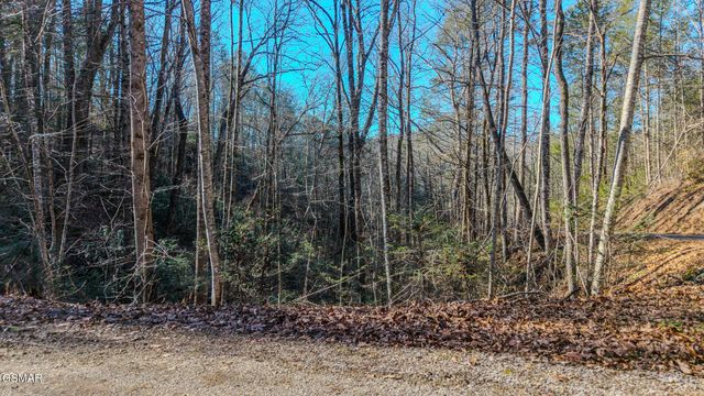 Lot 22R Shady Grove, Sevierville, TN 37876