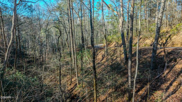 Lot 22R Shady Grove, Sevierville, TN 37876