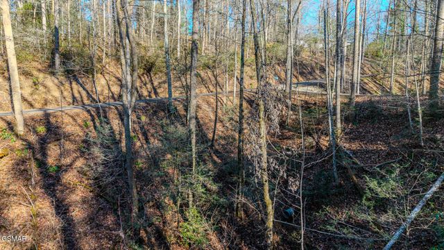 Lot 22R Shady Grove, Sevierville, TN 37876