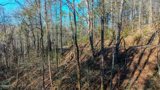 Lot 22R Shady Grove, Sevierville, TN 37876