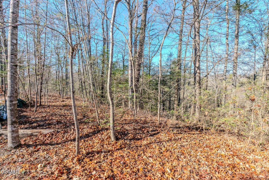 Lot 22R Shady Grove, Sevierville, TN 37876