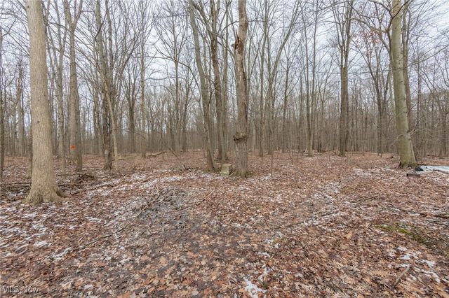 6199 Vandemark Road, Medina, OH 44256