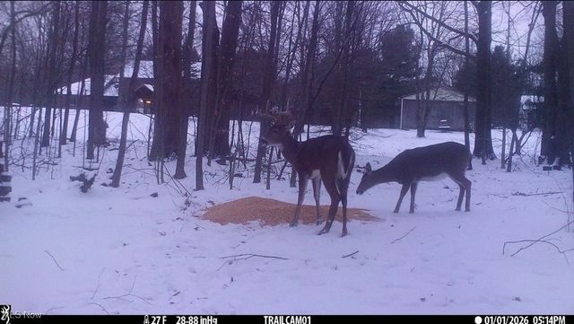 6199 Vandemark Road, Medina, OH 44256