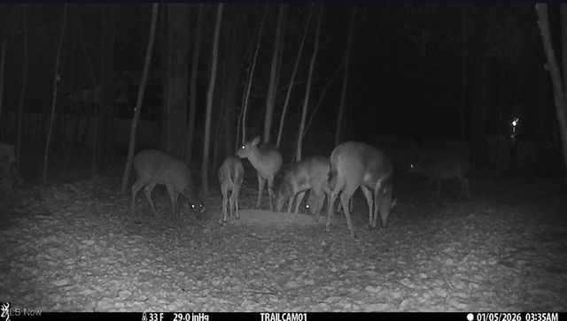 6199 Vandemark Road, Medina, OH 44256