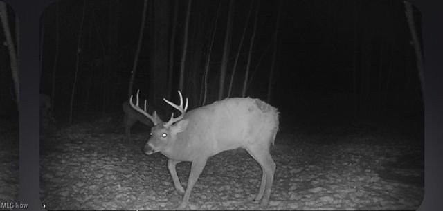 6199 Vandemark Road, Medina, OH 44256