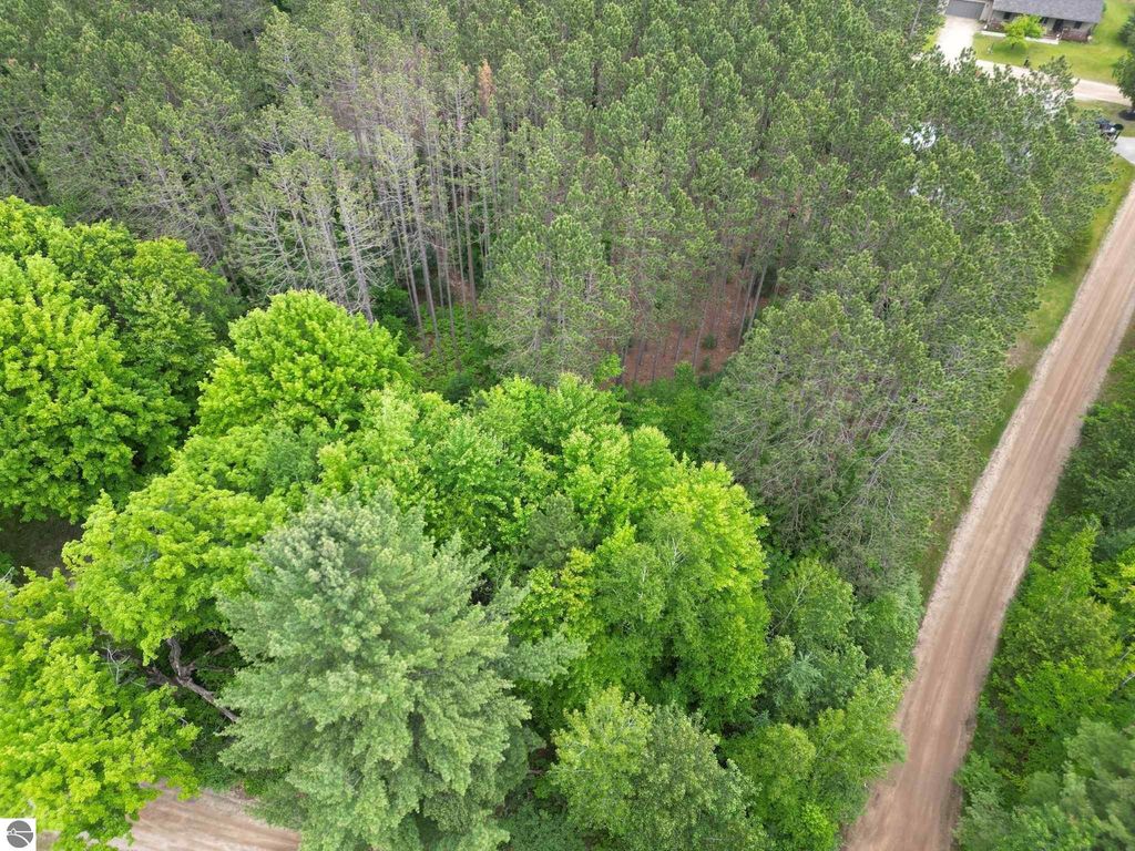 Image 3 of property listing at TBD Wintergreen, Farwell, MI 48622