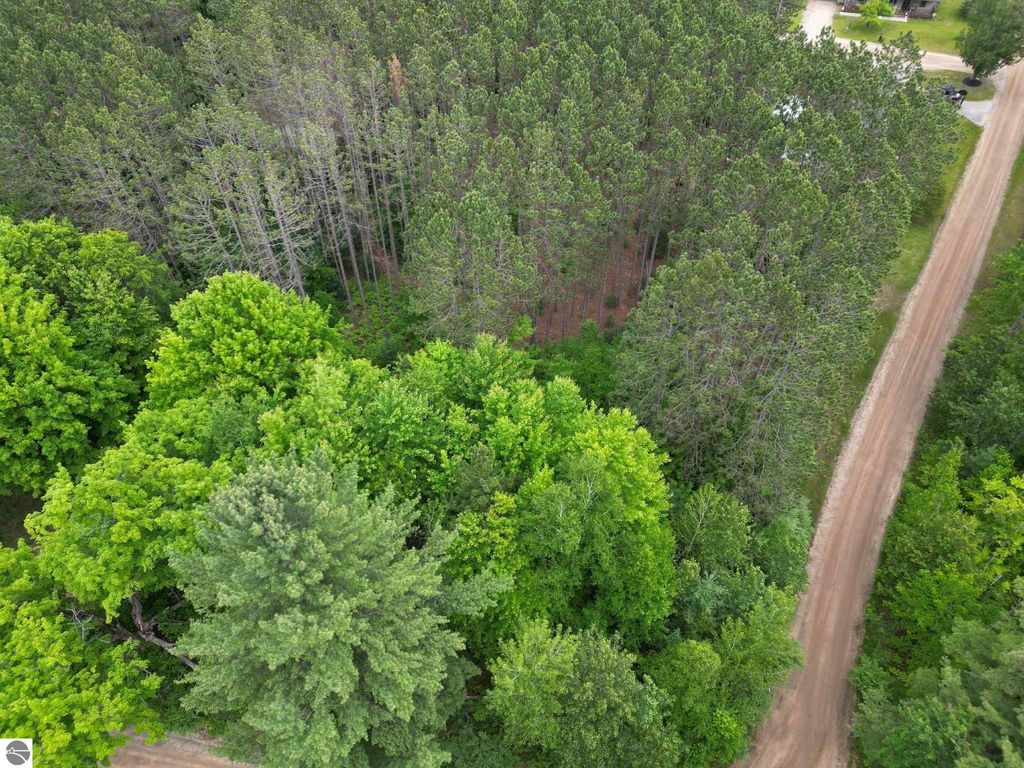 Image 4 of property listing at TBD Wintergreen, Farwell, MI 48622