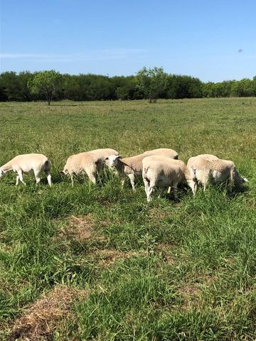 2133 Lawson St, Del Rio, TX 78840