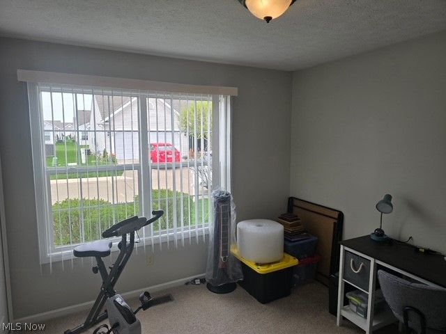 313 Breckenridge Oval, Elyria, OH 44035