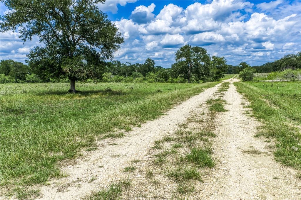 TBD(+/-237.91 AC) HWY 36 S, Caldwell, TX 77836 — exterior