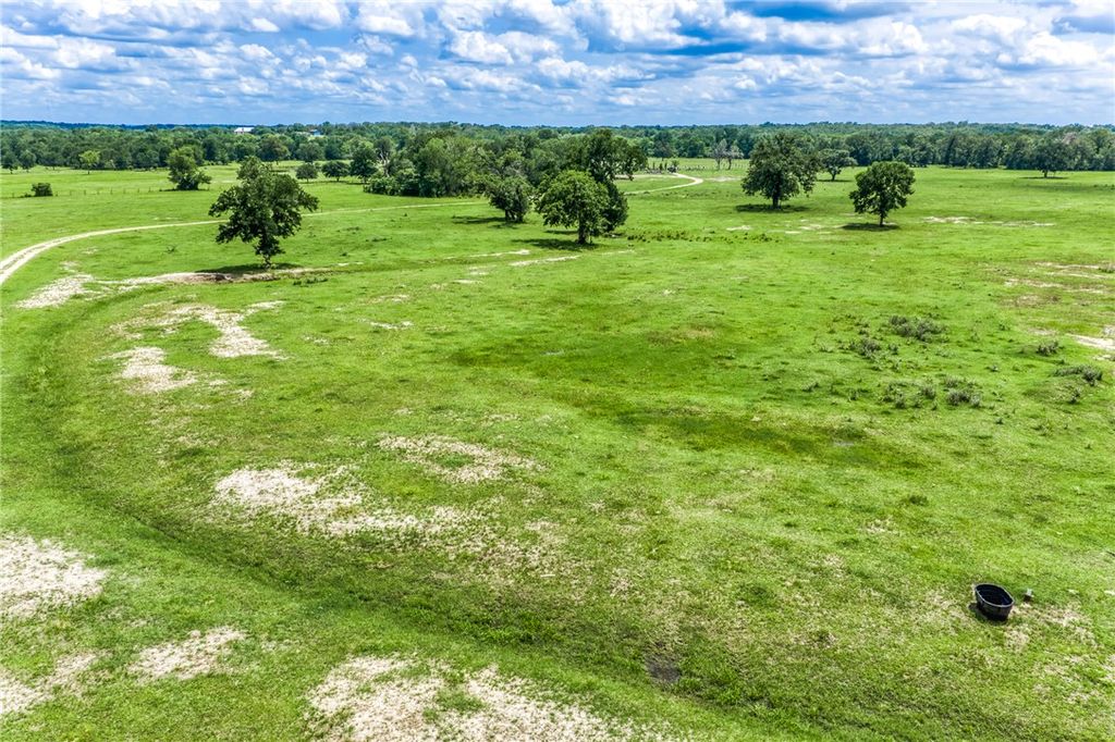 TBD(+/-237.91 AC) HWY 36 S, Caldwell, TX 77836 — photo 2