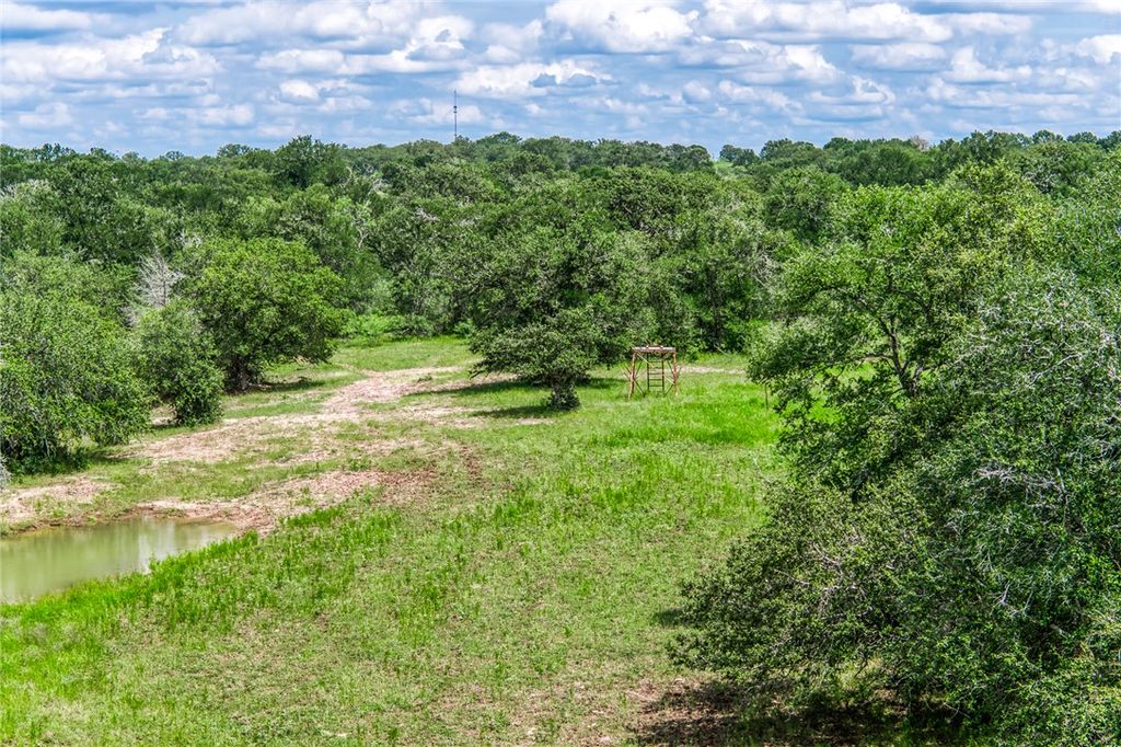 TBD(+/-237.91 AC) HWY 36 S, Caldwell, TX 77836 — photo 4