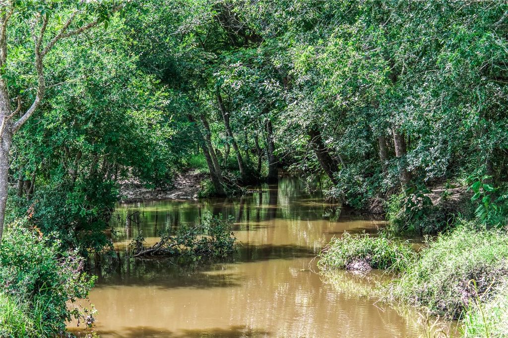 TBD(+/-237.91 AC) HWY 36 S, Caldwell, TX 77836 — photo 5