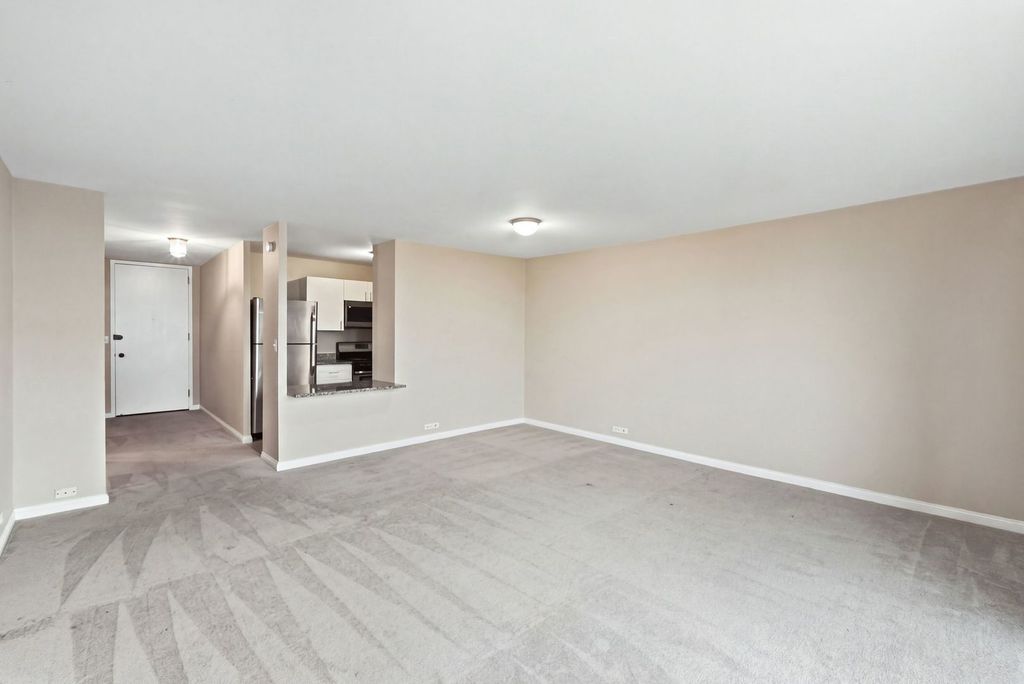 3001 S Michigan Avenue 809, Chicago, IL 60616 — photo 2