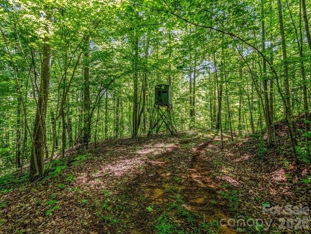 980 Mountain Forest Drive, Union Mills, NC 28167