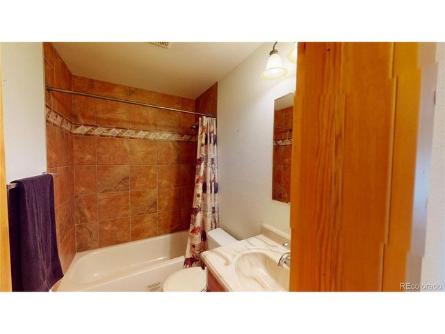 1210 Meadow Dr, Fairplay, CO 80440