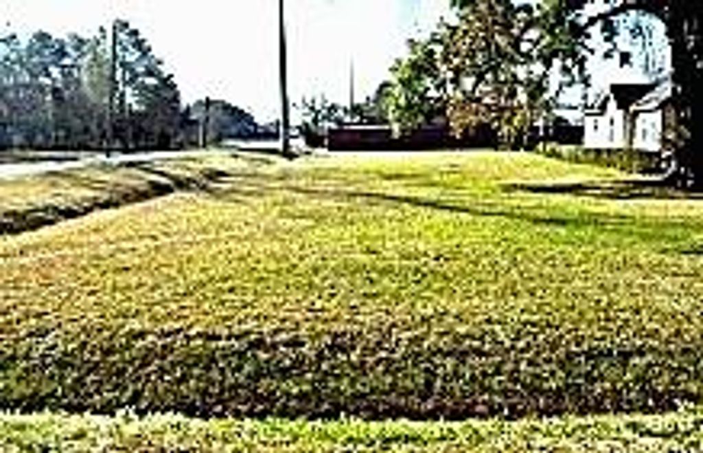 0 Magnolia, Houston, TX 77012