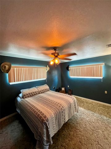 111 Private Road 6980, Alba, TX 75410