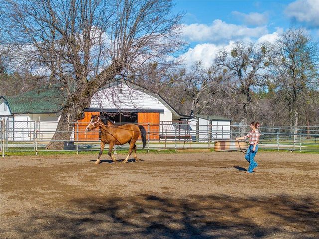 29099 Doveweed Way, Shingletown, CA 96088