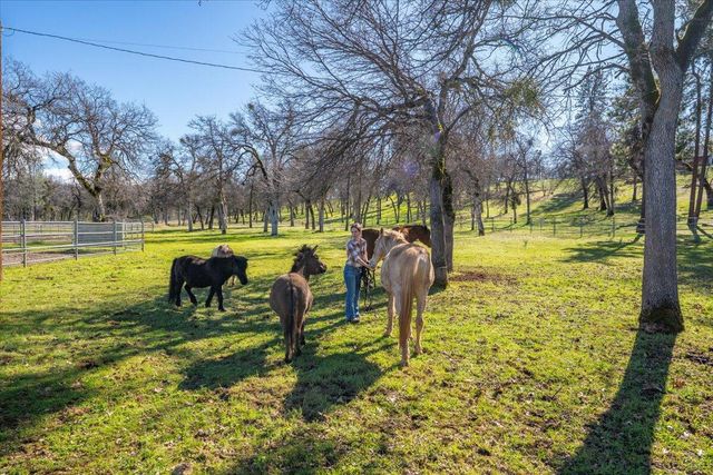 29099 Doveweed Way, Shingletown, CA 96088