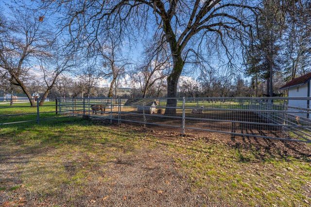 29099 Doveweed Way, Shingletown, CA 96088