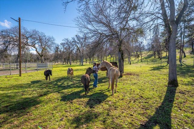 29099 Doveweed Way, Shingletown, CA 96088