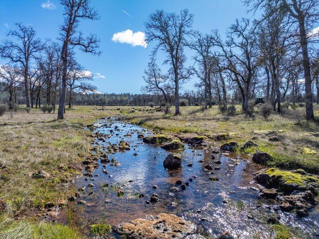 29099 Doveweed Way, Shingletown, CA 96088