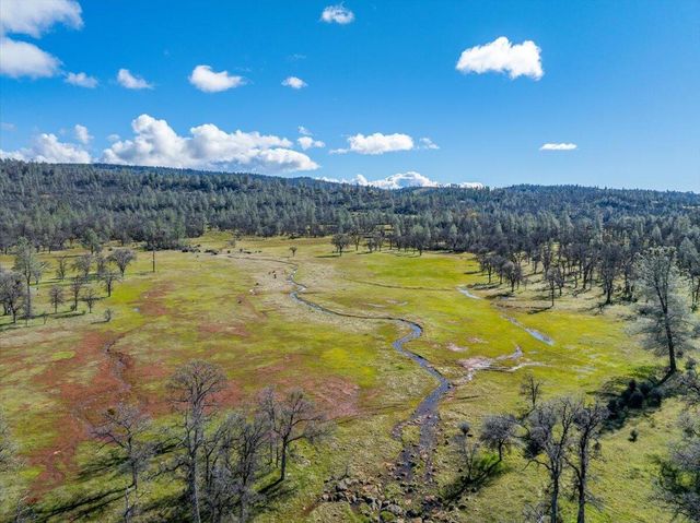 29099 Doveweed Way, Shingletown, CA 96088