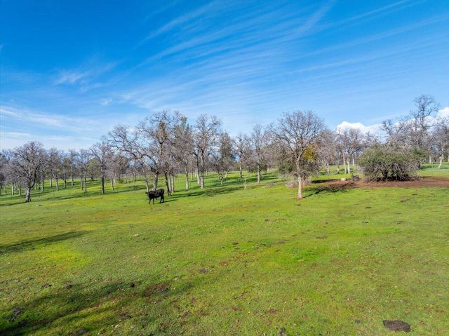 29099 Doveweed Way, Shingletown, CA 96088