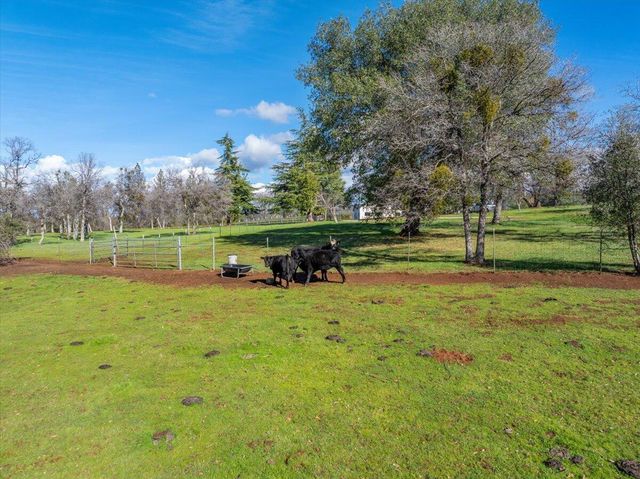 29099 Doveweed Way, Shingletown, CA 96088