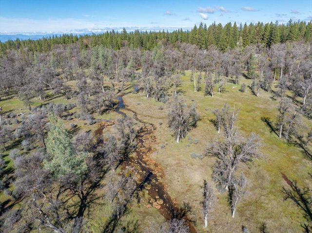 29099 Doveweed Way, Shingletown, CA 96088