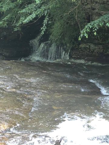 175 Luna Mill Rd, Smithville, TN 37166