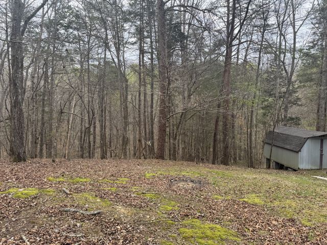 175 Luna Mill Rd, Smithville, TN 37166