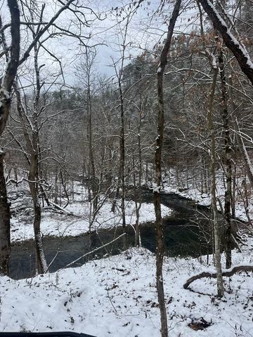 175 Luna Mill Rd, Smithville, TN 37166