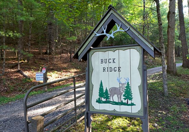 344 Buck Ridge Road, Suches, GA 30572