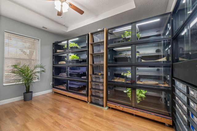 1189 S Casa Grande Avenue, Springfield, MO 65802