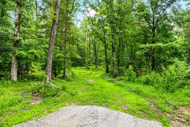 196 Wildlife Road, Dover, TN 37058