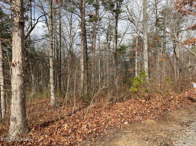 Eagle Bluff, Jamestown, TN 38556