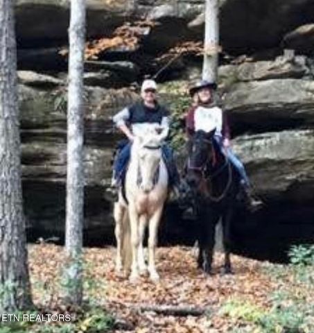 Eagle Bluff, Jamestown, TN 38556